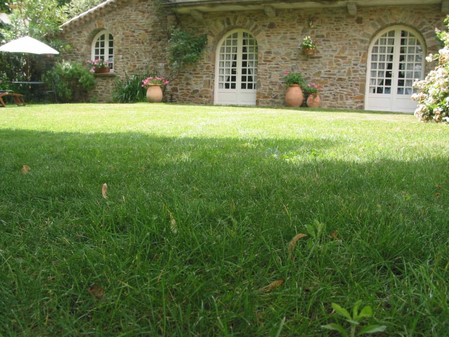 Bella vista_5