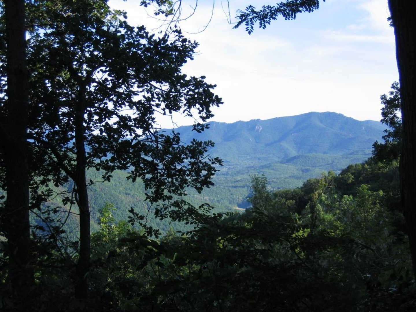 Bella vista_9