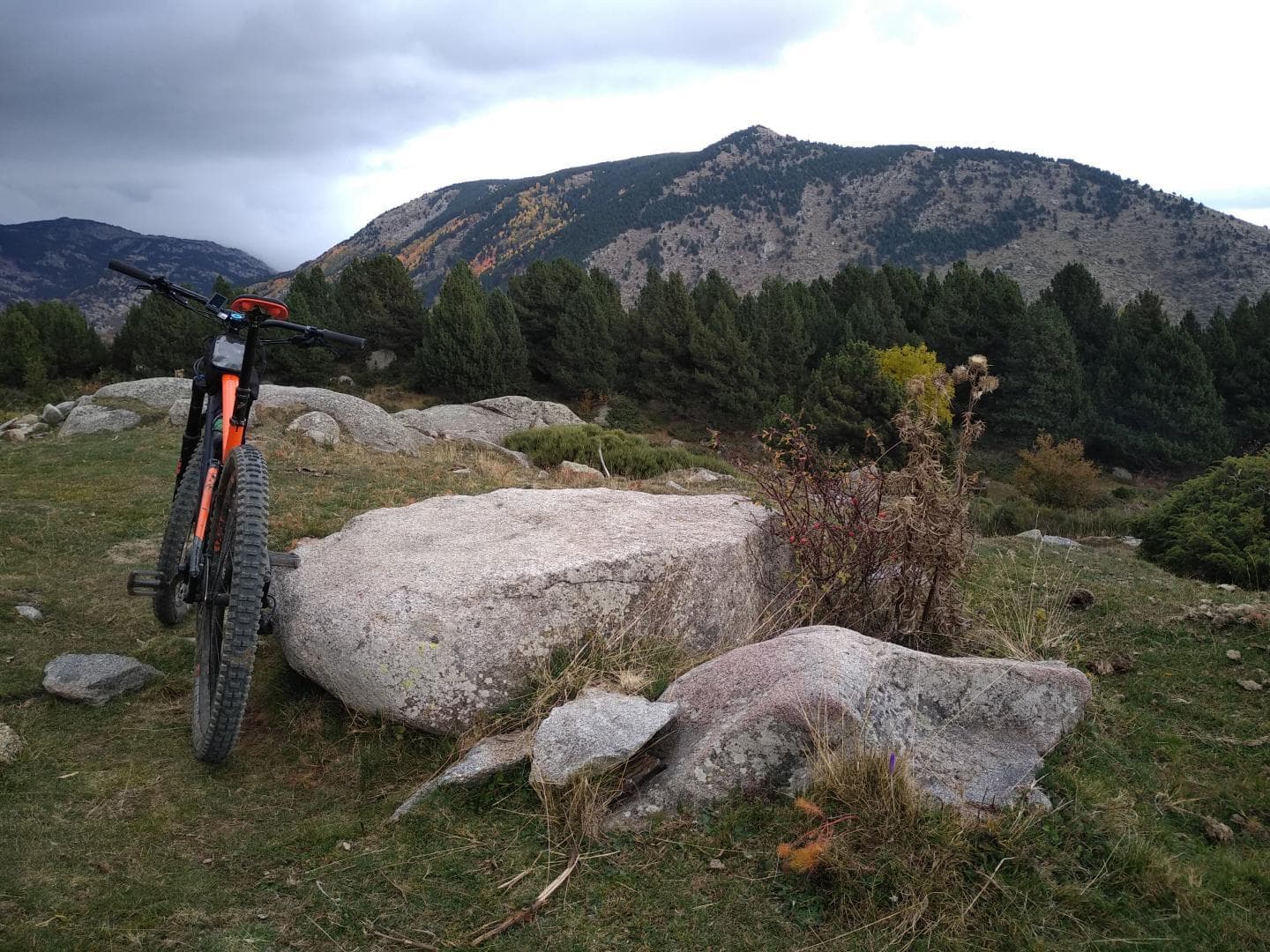 Les Ecureuils_17