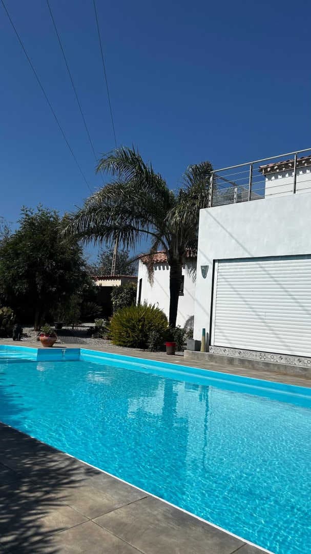 les Cycas_27