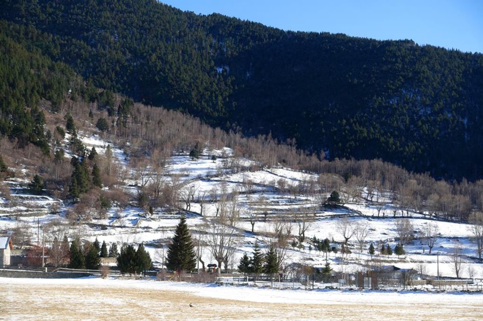 Le lièvre_21