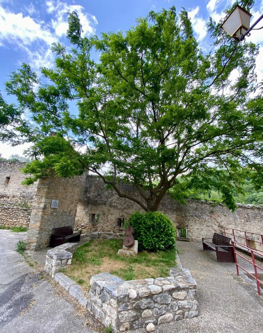 Casa d'Amunt_35