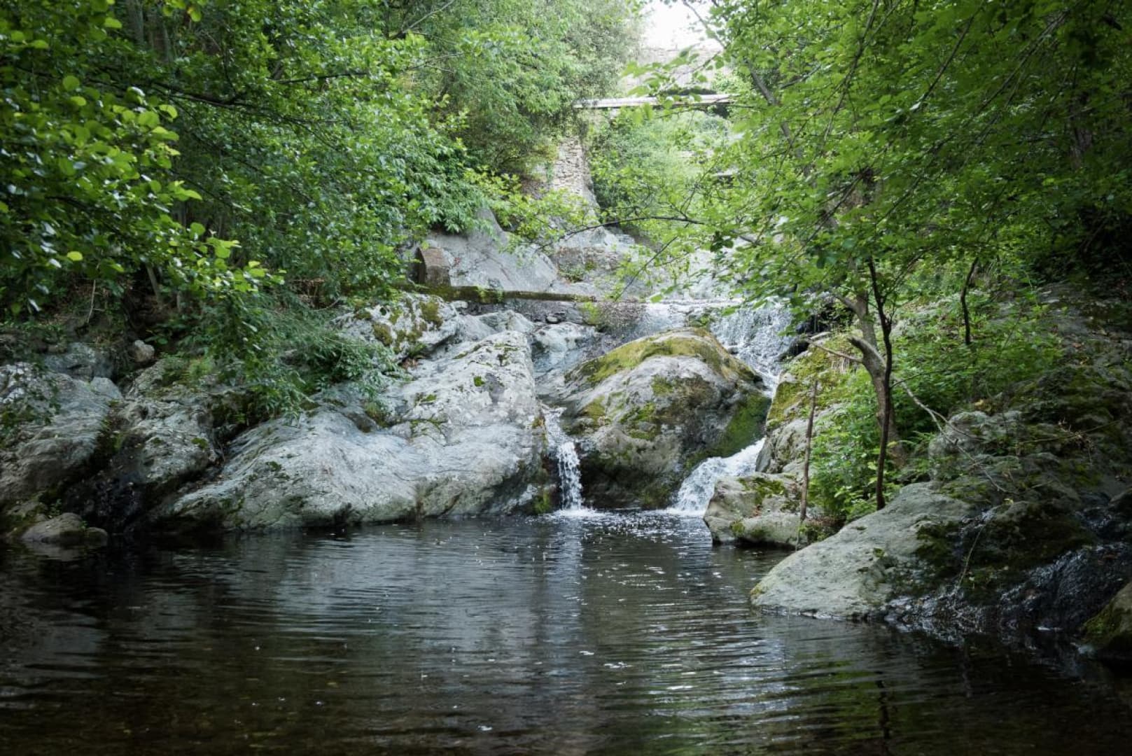 Le Moulin_17