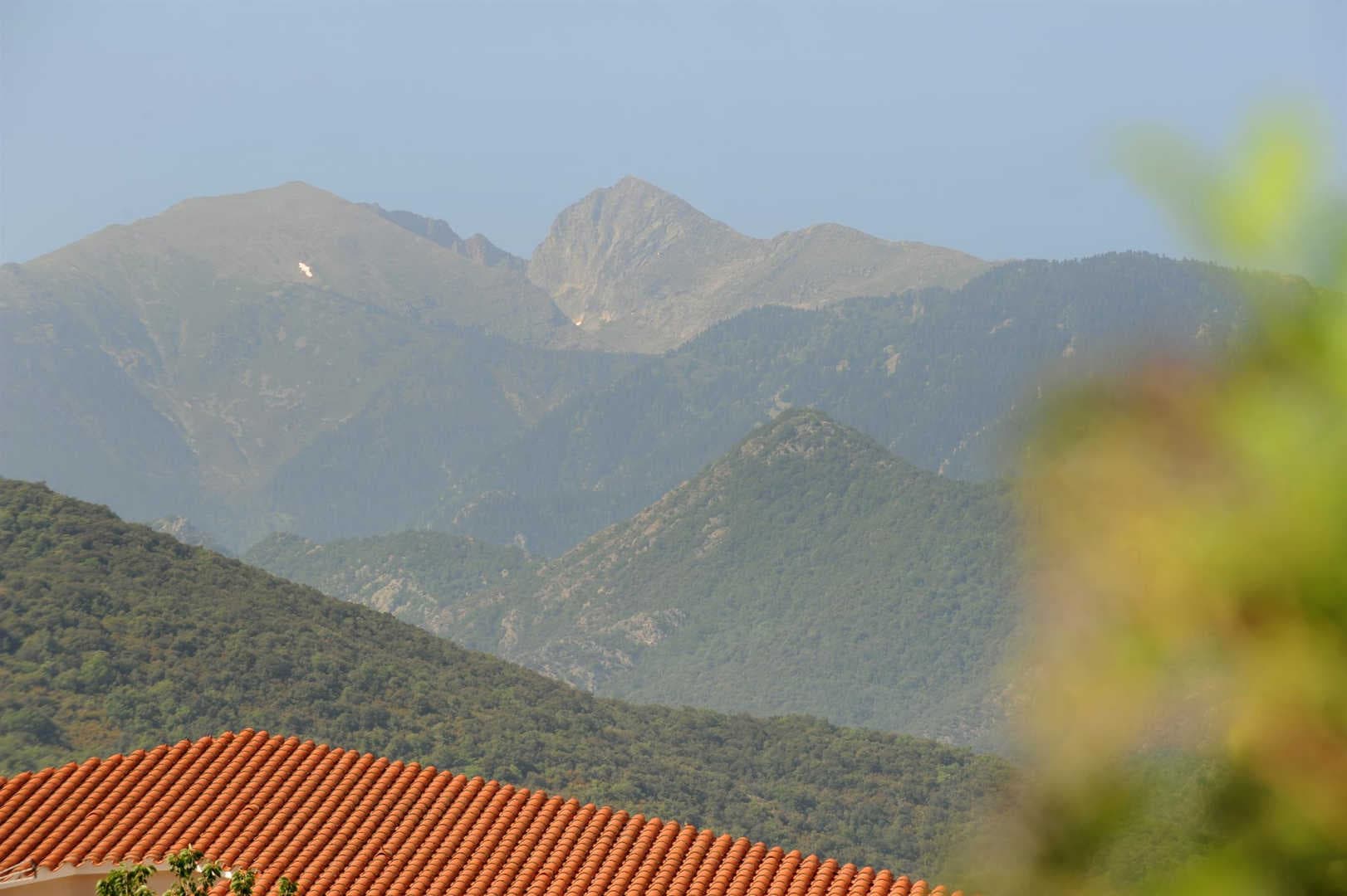 Mas de l' Estrade_21