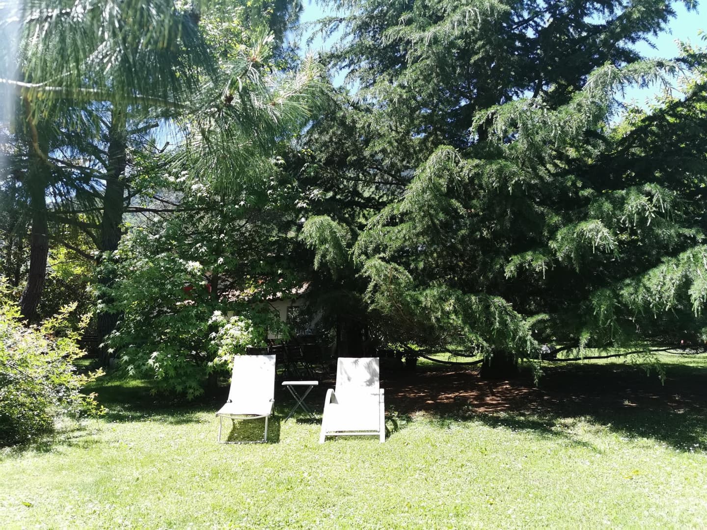 Les lauriers_25