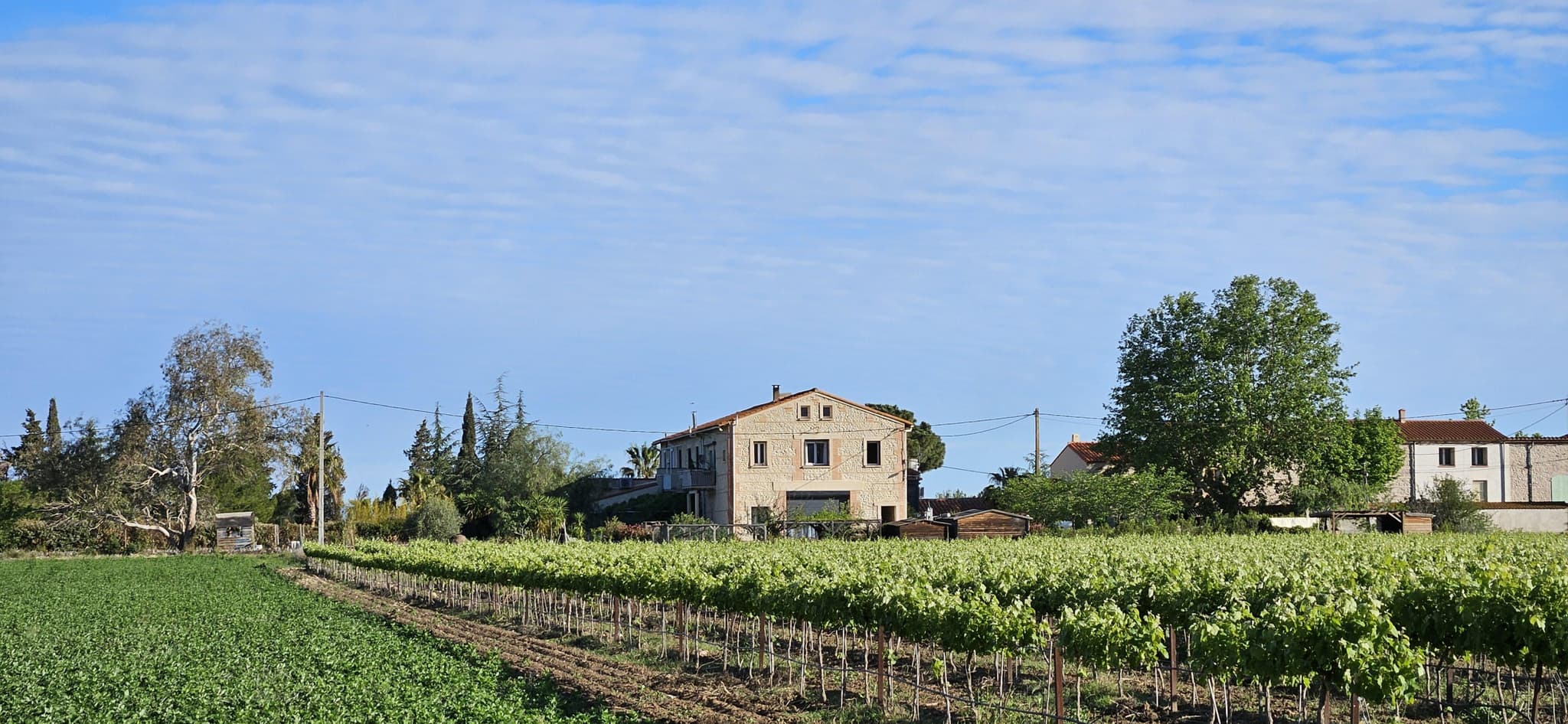 La Flotte_31