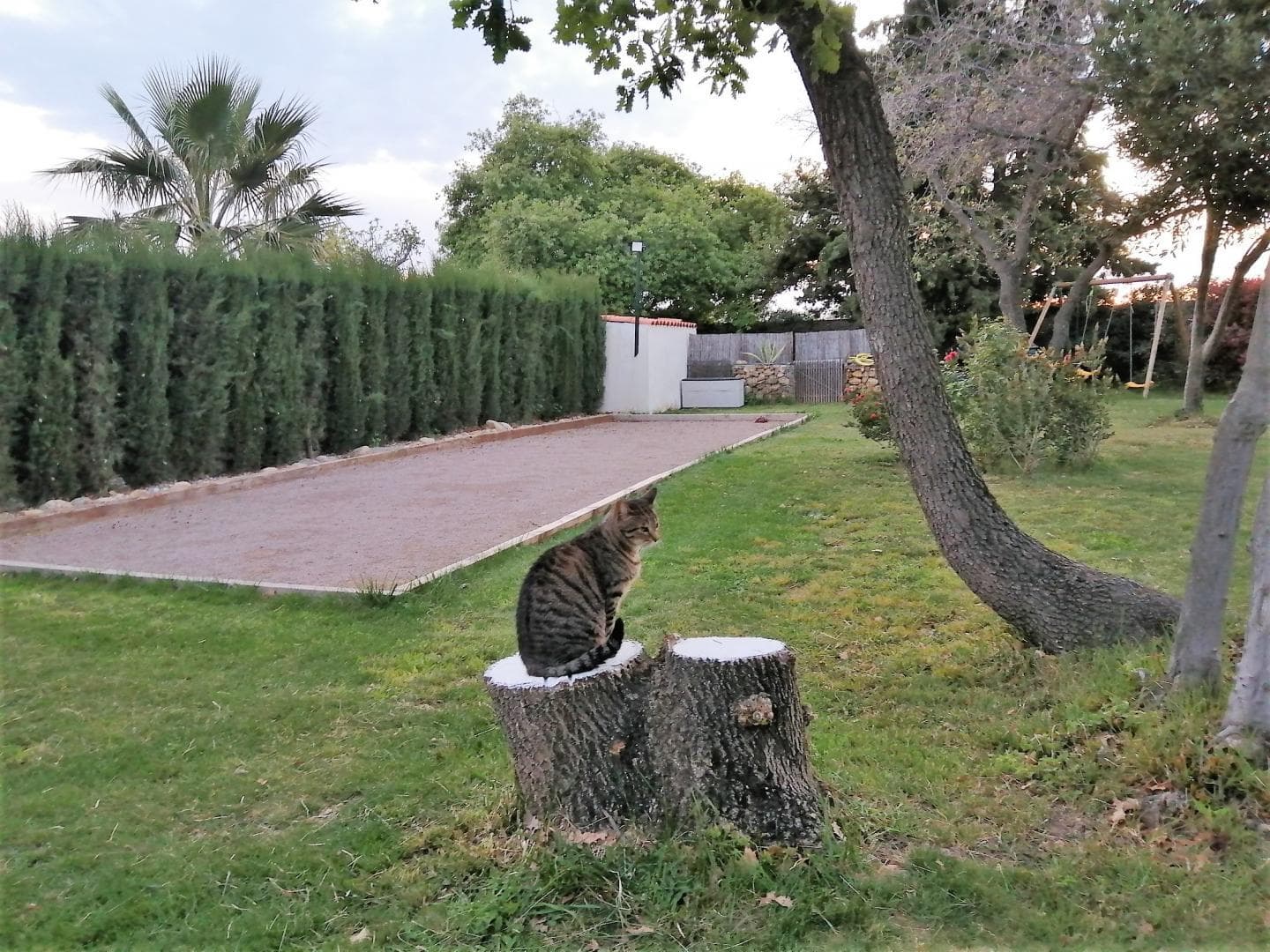 Salanque_15