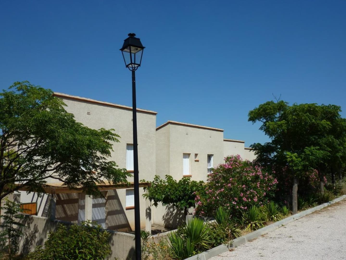 La trillano_23