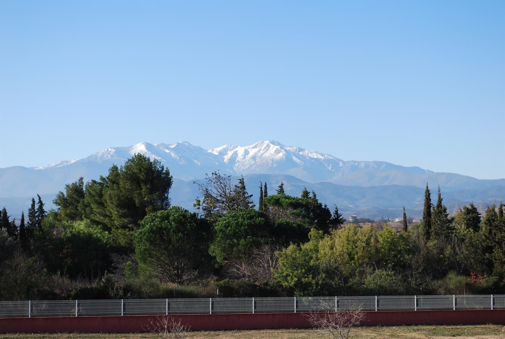 La Perdrix_10