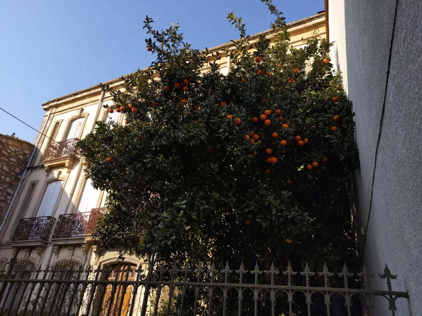 La Maison Bachelet_30