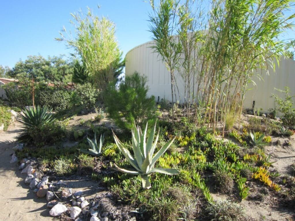 Torreilles HLO Villa 566