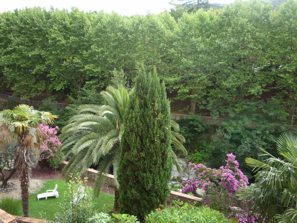 daviaud