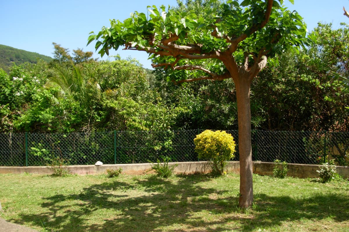 HLOLAR0660000646_3