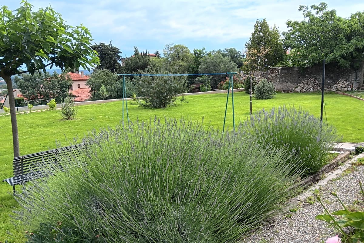 Jardin 2