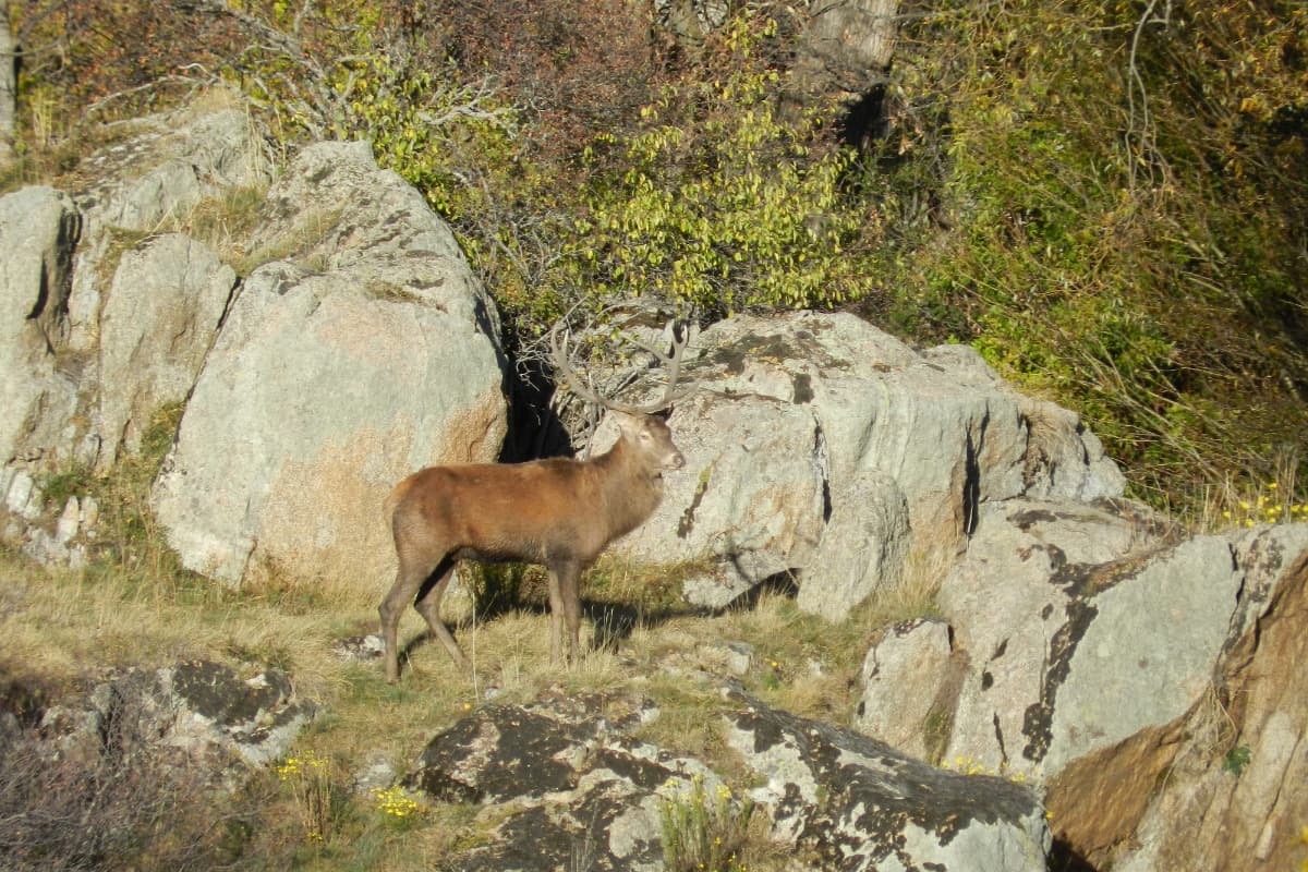 HLOLAR066NO21399_19