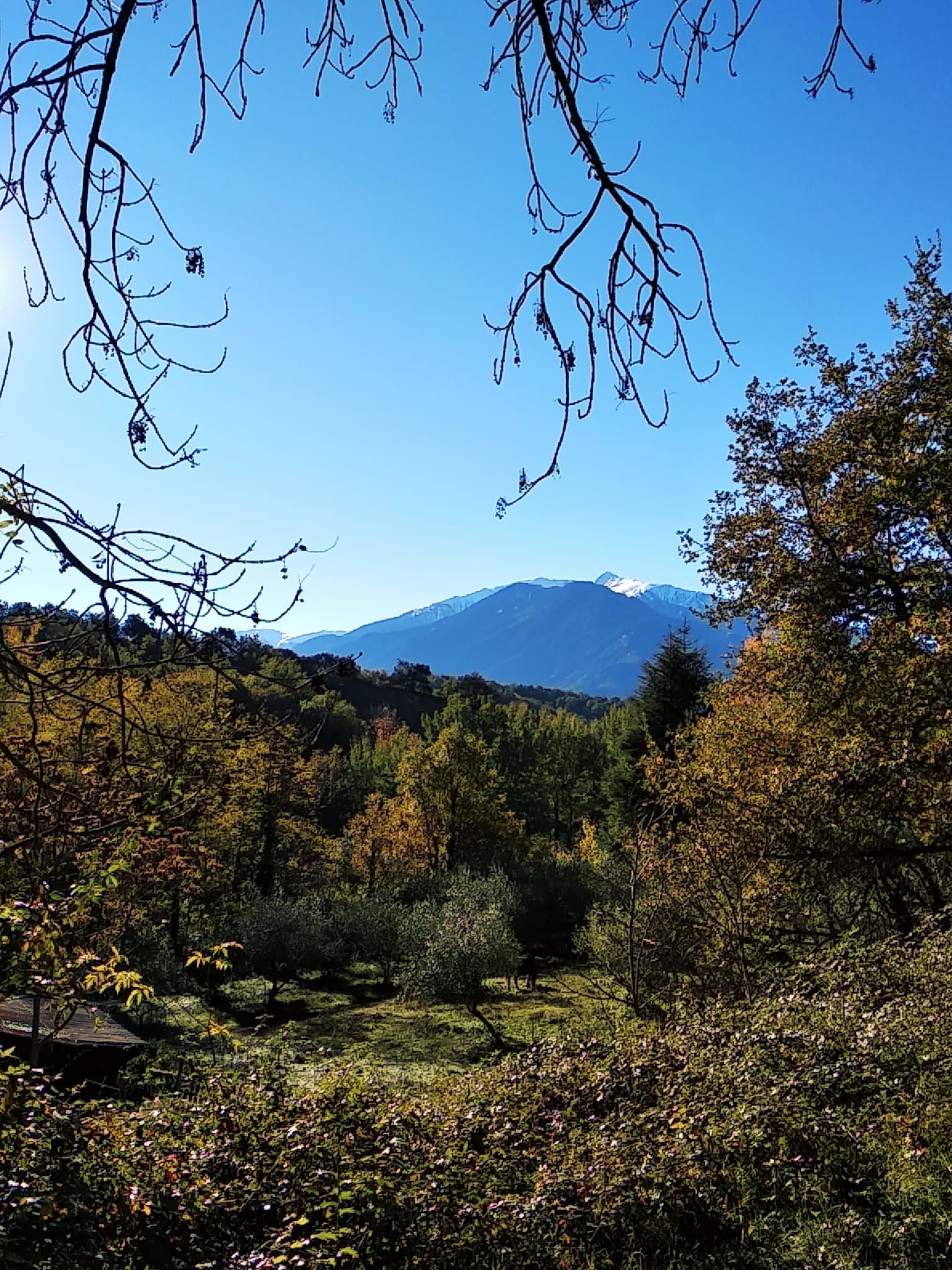 Canigó