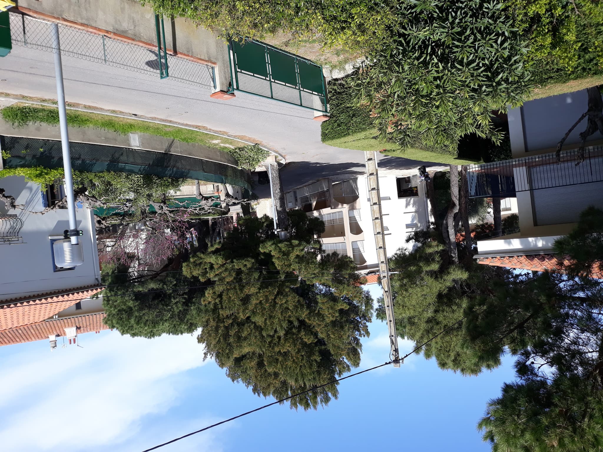 Paysage N°3