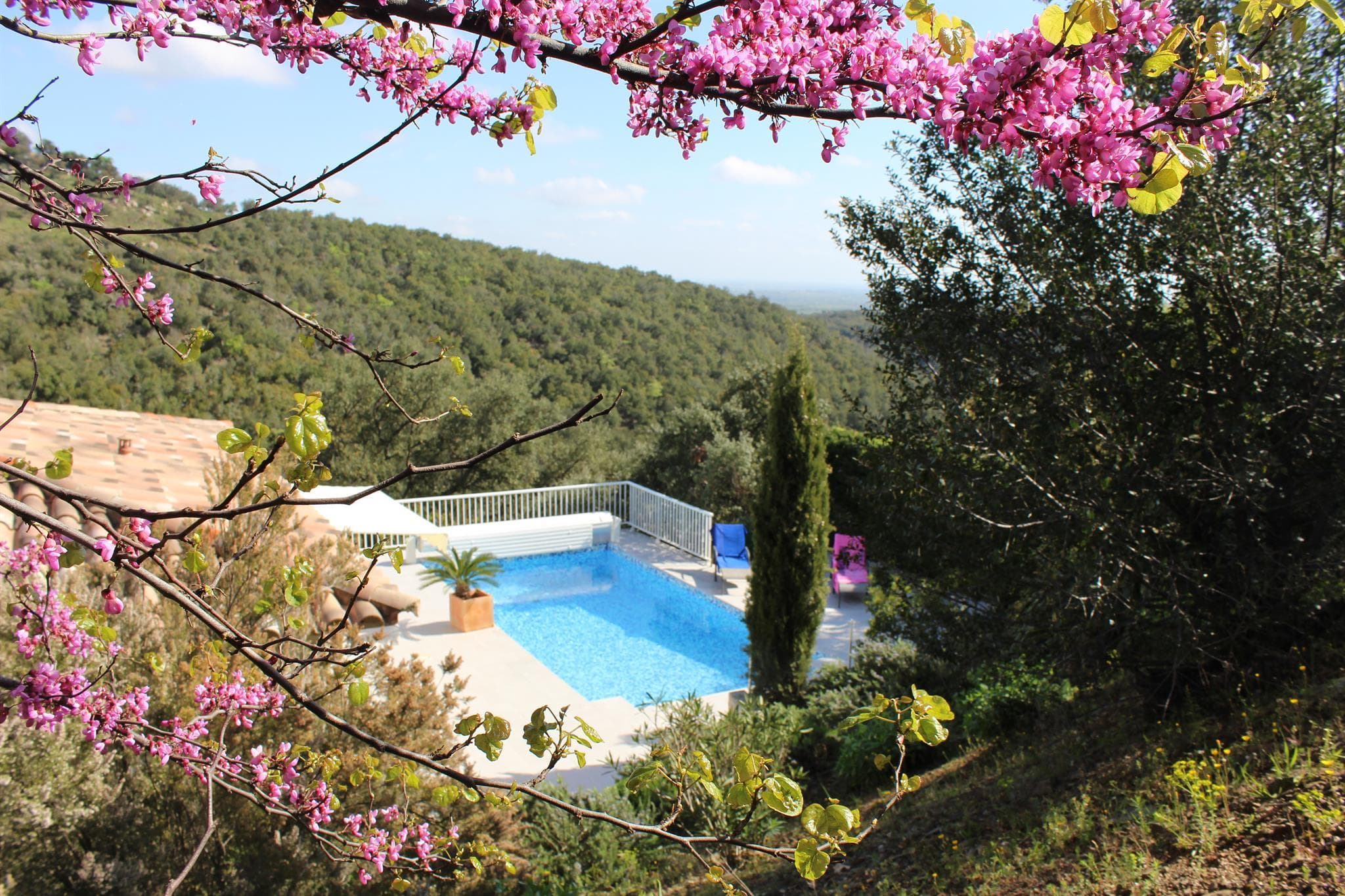 Le jardin et la piscine_19