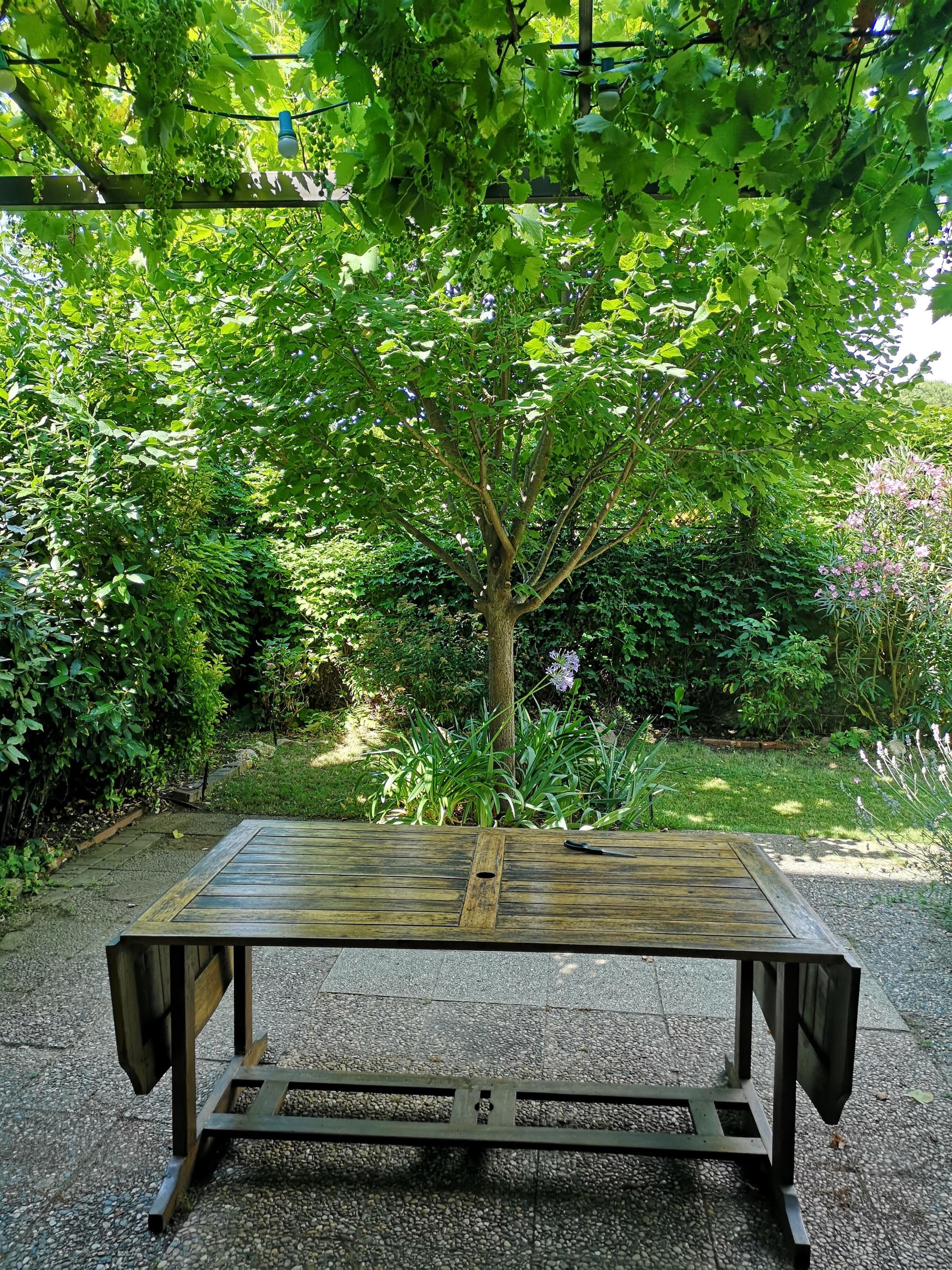JARDIN ETE_31