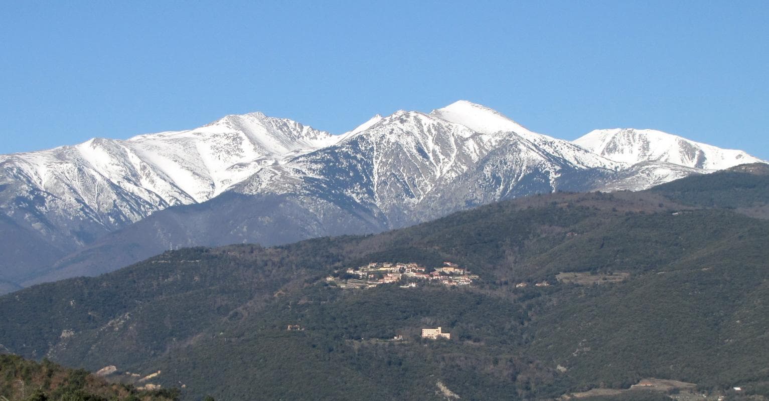 Palmère Extéruers Vue vers l'ouest_20