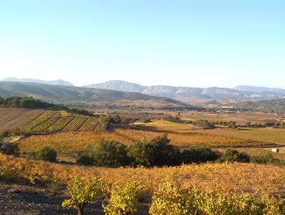 Photo_3_7