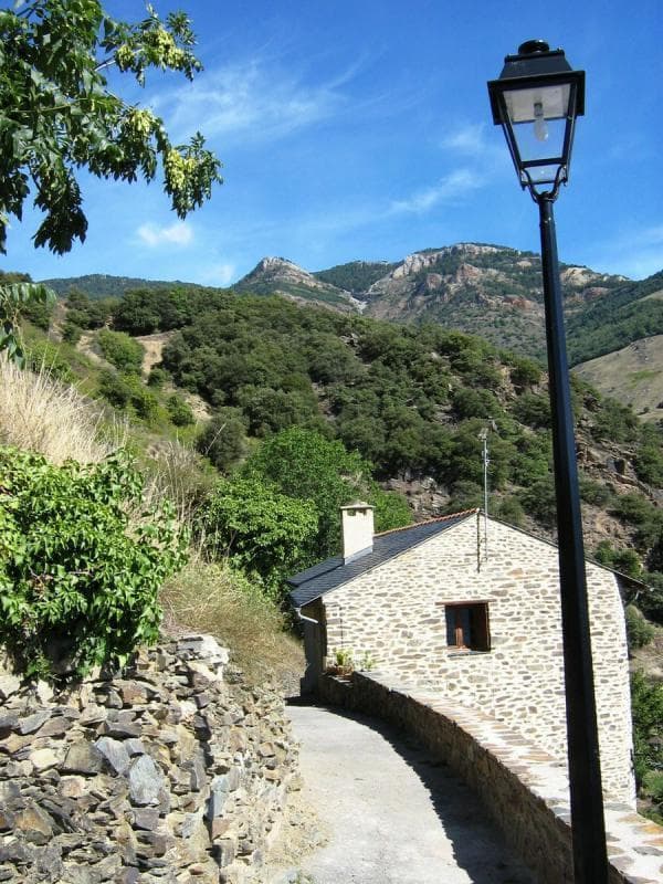 Photo1_1