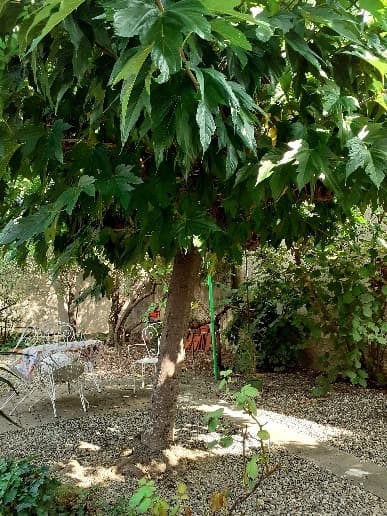 meubleleboulousaleillesjardincommun2