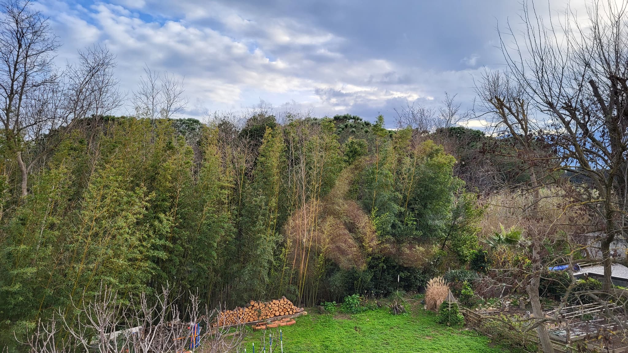 salon vue jardin