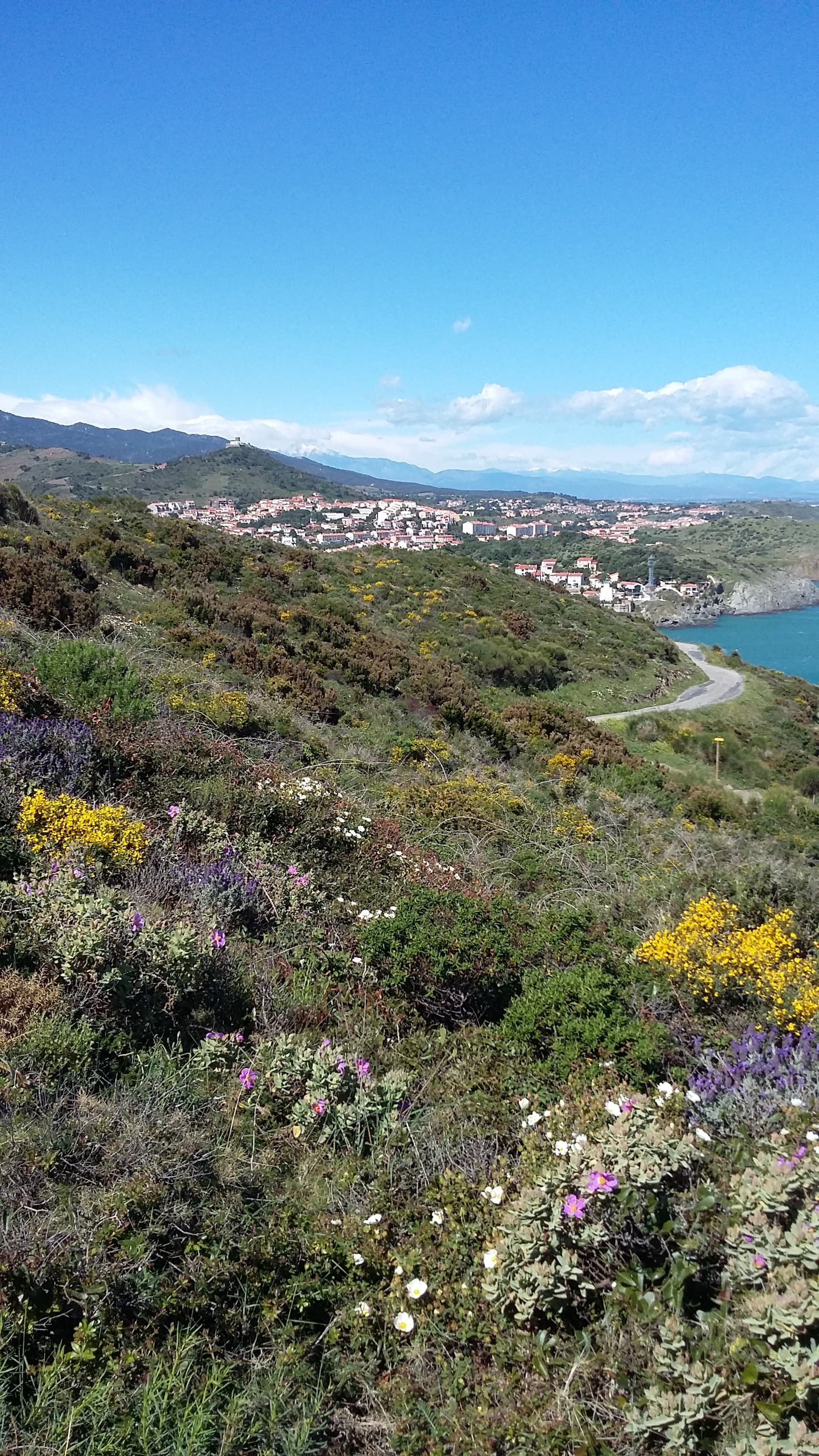 Sentier côtier (Cap Béar )