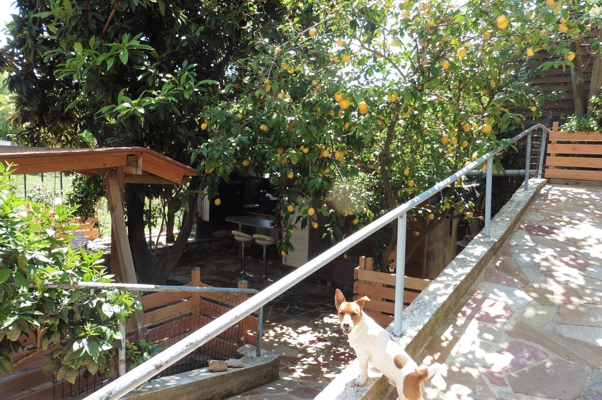 accès terrasse