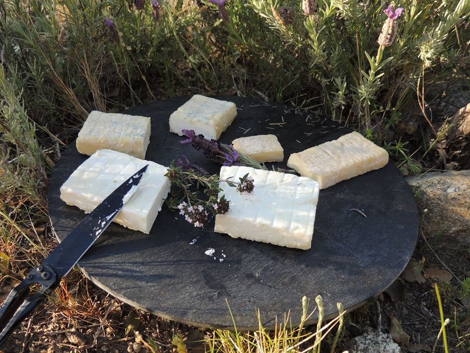 Fromage de chèvre