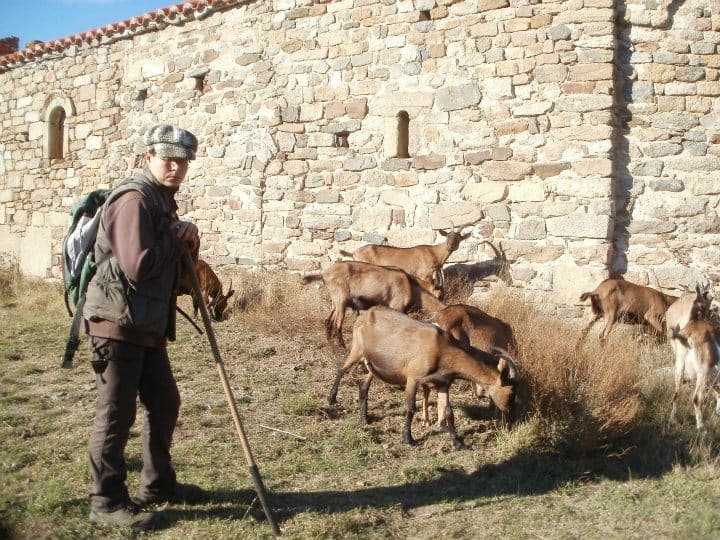 Randos avec les chèvres