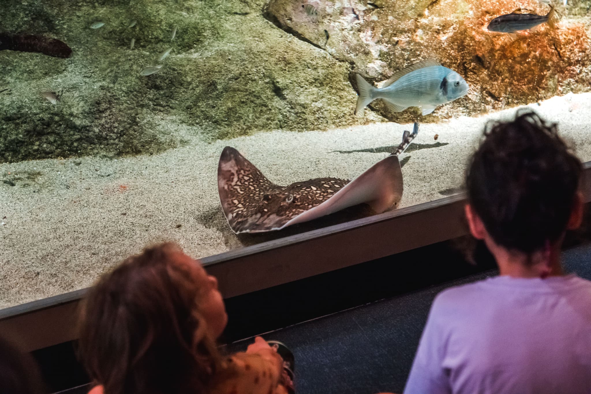 Biodiversarium (1)