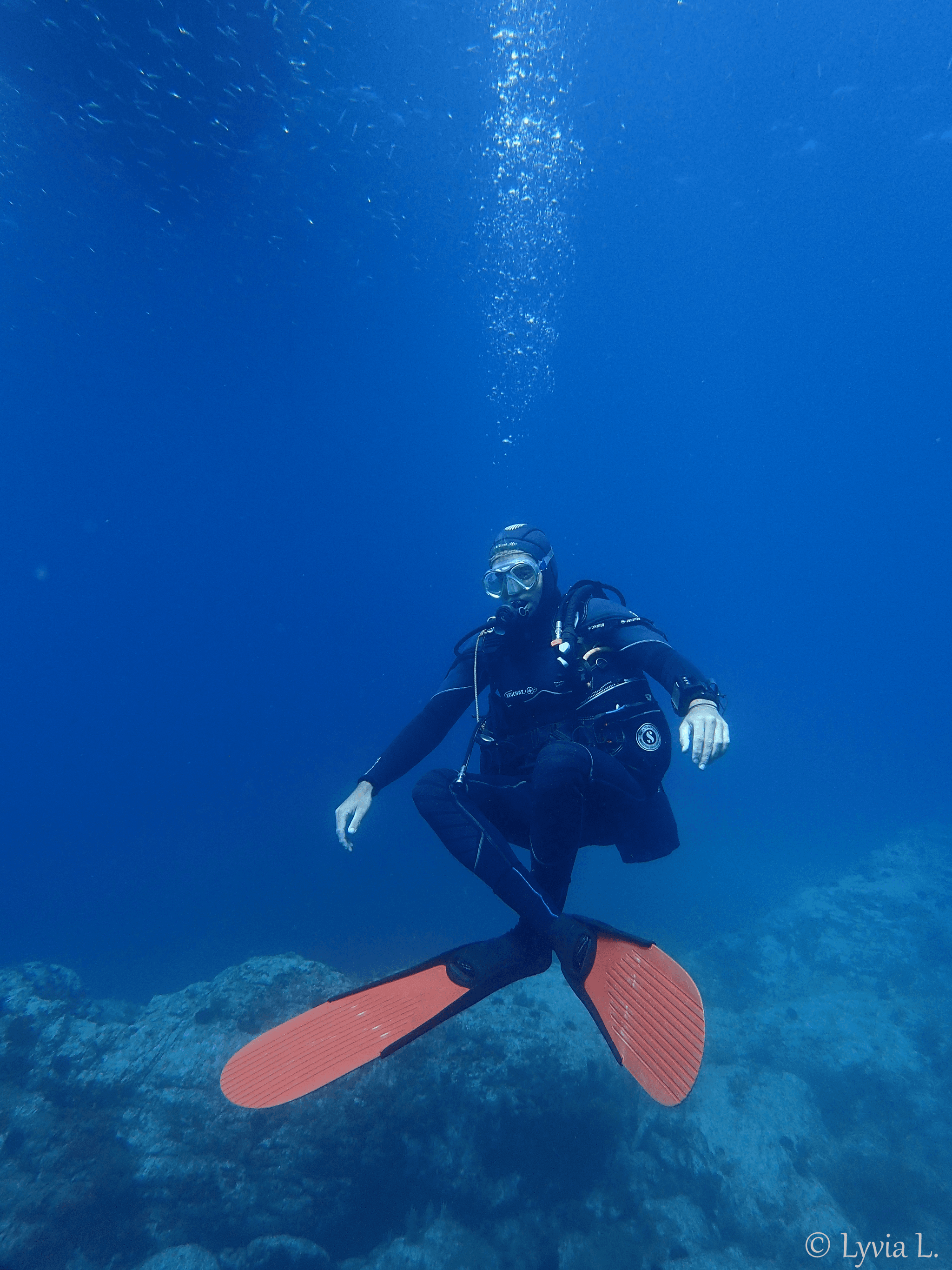 CAP CERBERE7