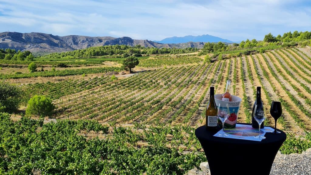 Catalan-Wine-Escape-photo-3