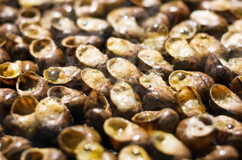 Escargots GF Banyuls_T