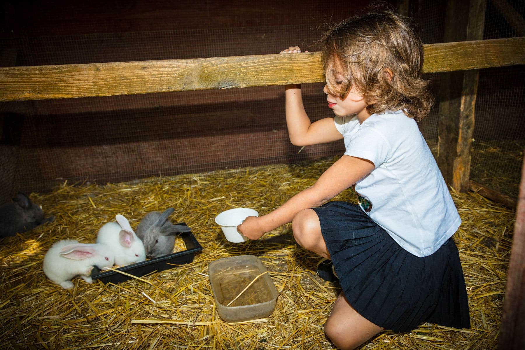 La-ferme-de-decouverte-de-Saint-Andre-Saint-Andre-2