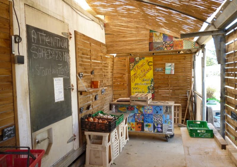 Le potager de Geneviève 1