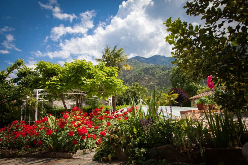 Les jardins d'Aymeric-Clara_4