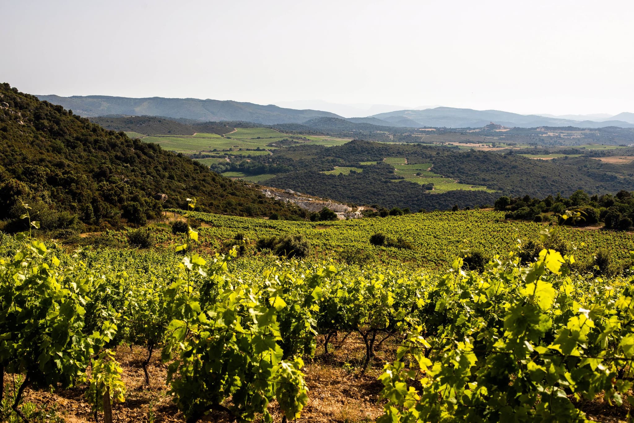 Lindependantjuillet2019Paysage-MasLlossanes