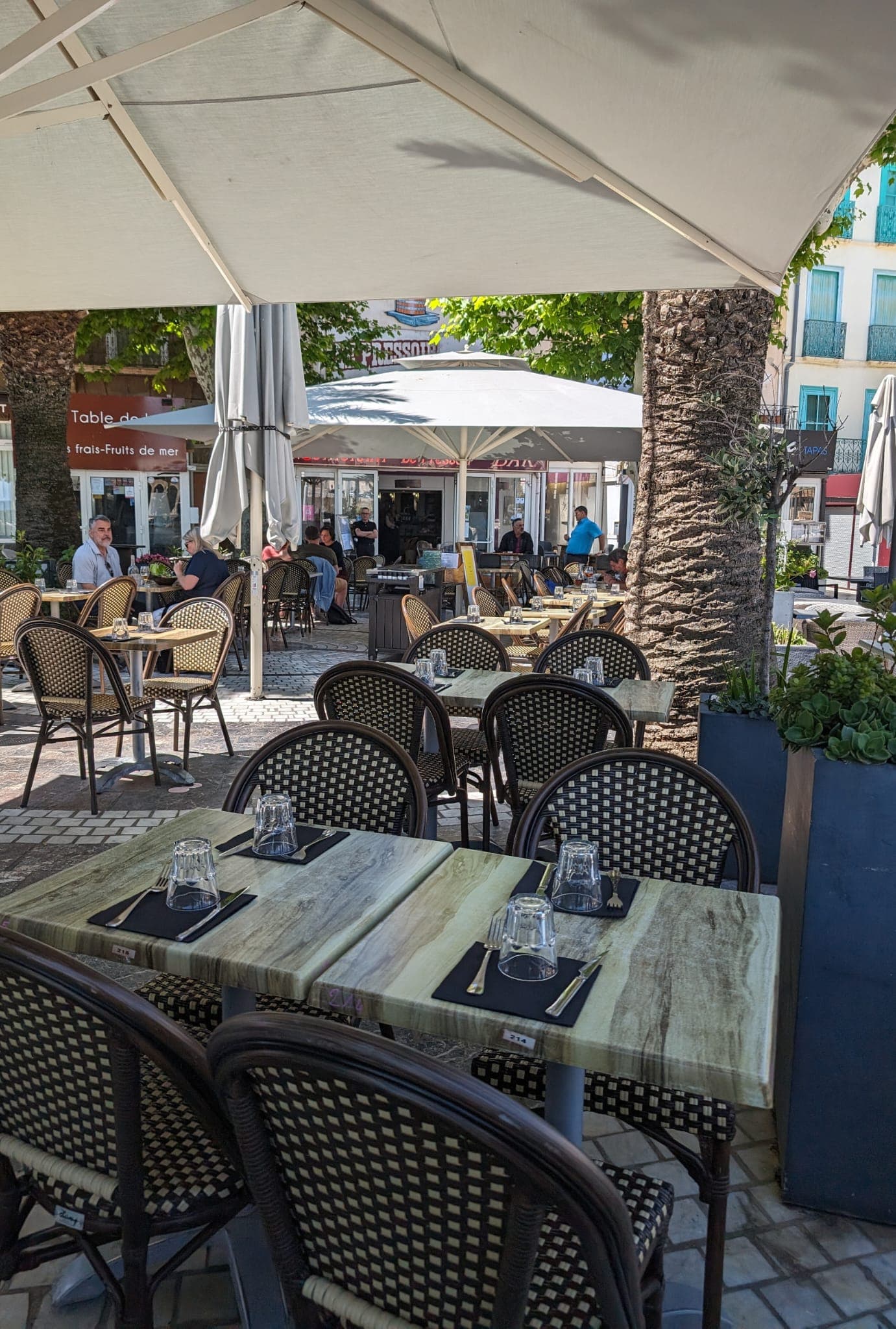 Maximo Café (5)