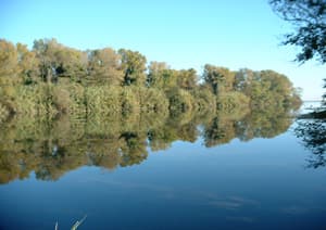 Reserve Naturelle Mas Larrieu