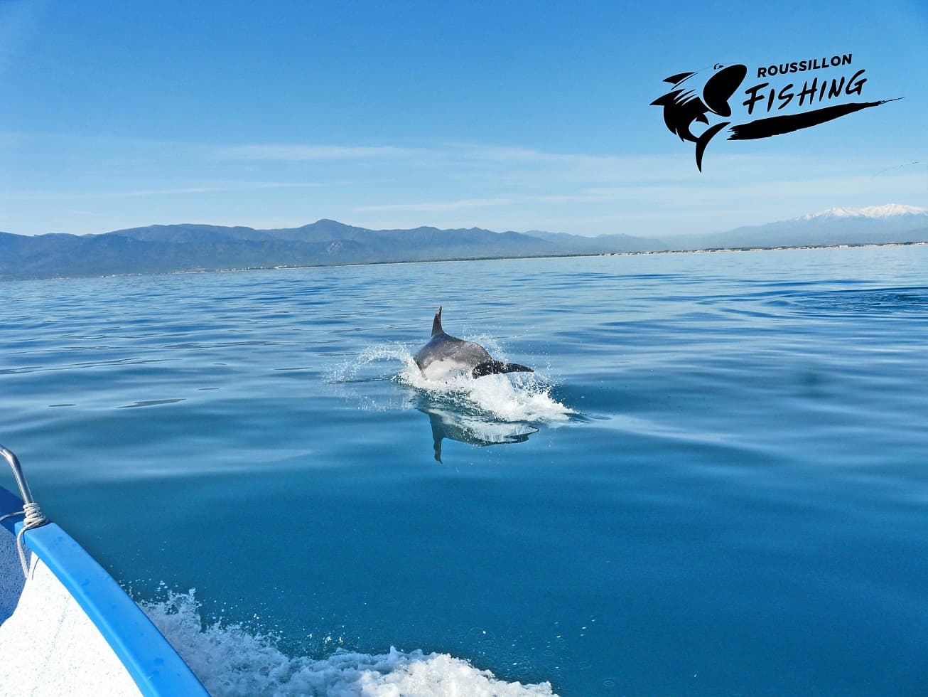Roussillon fishing dauphin