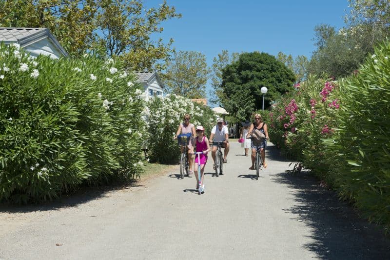 Camping Chadotel le Roussillon