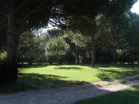 STE MARIE CAMPING CHARDONNERETS 3
