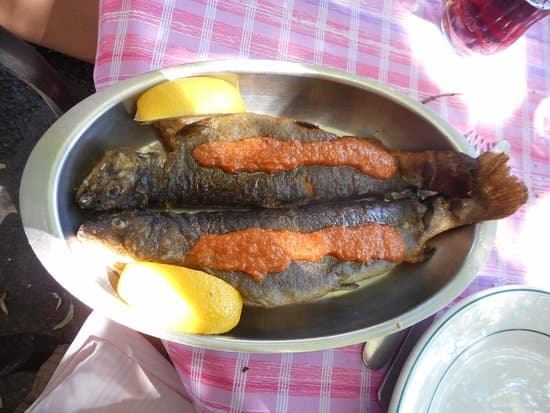 chez francois truite