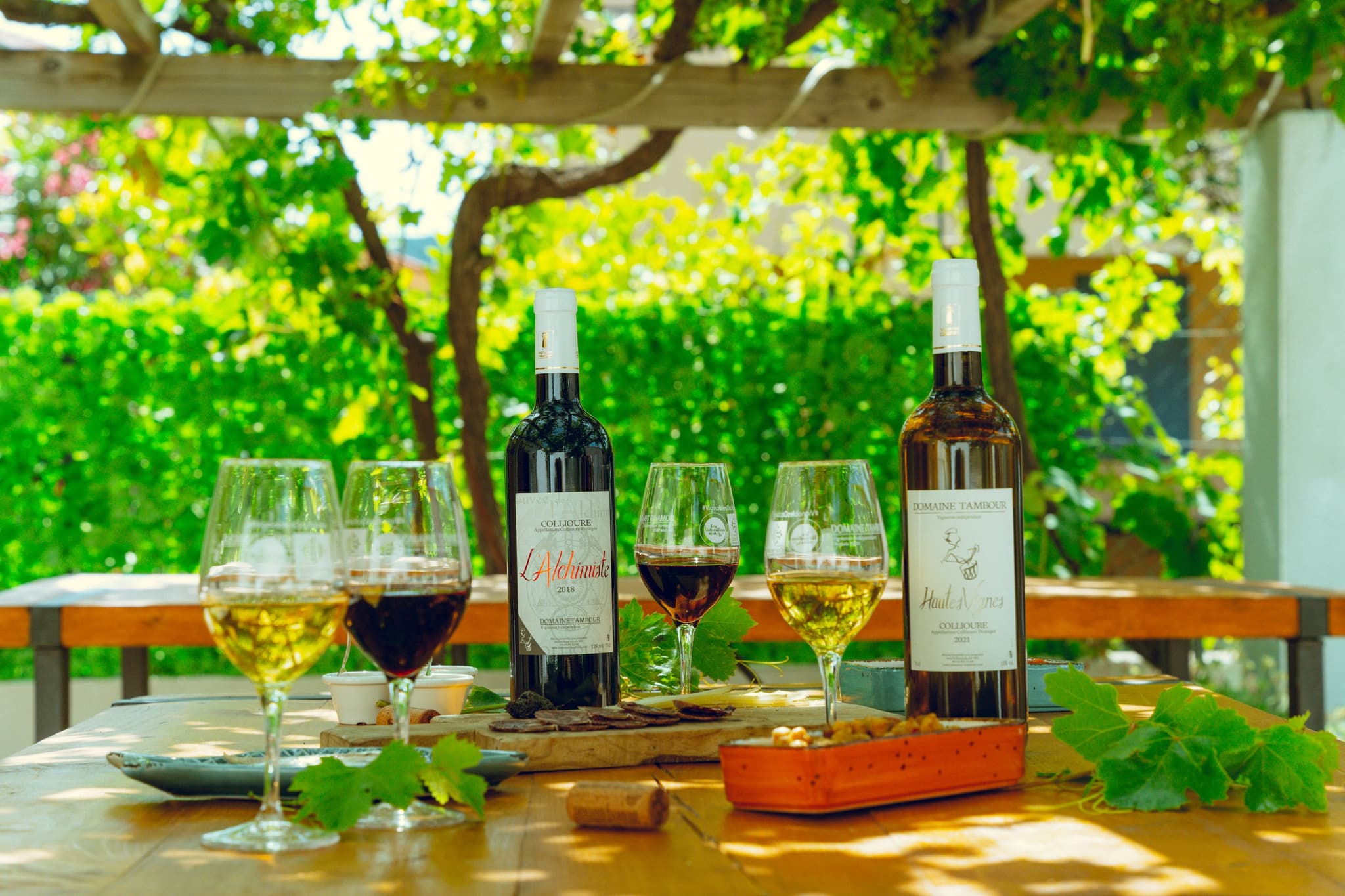 domaine-tambour-banyuls-2022-02768