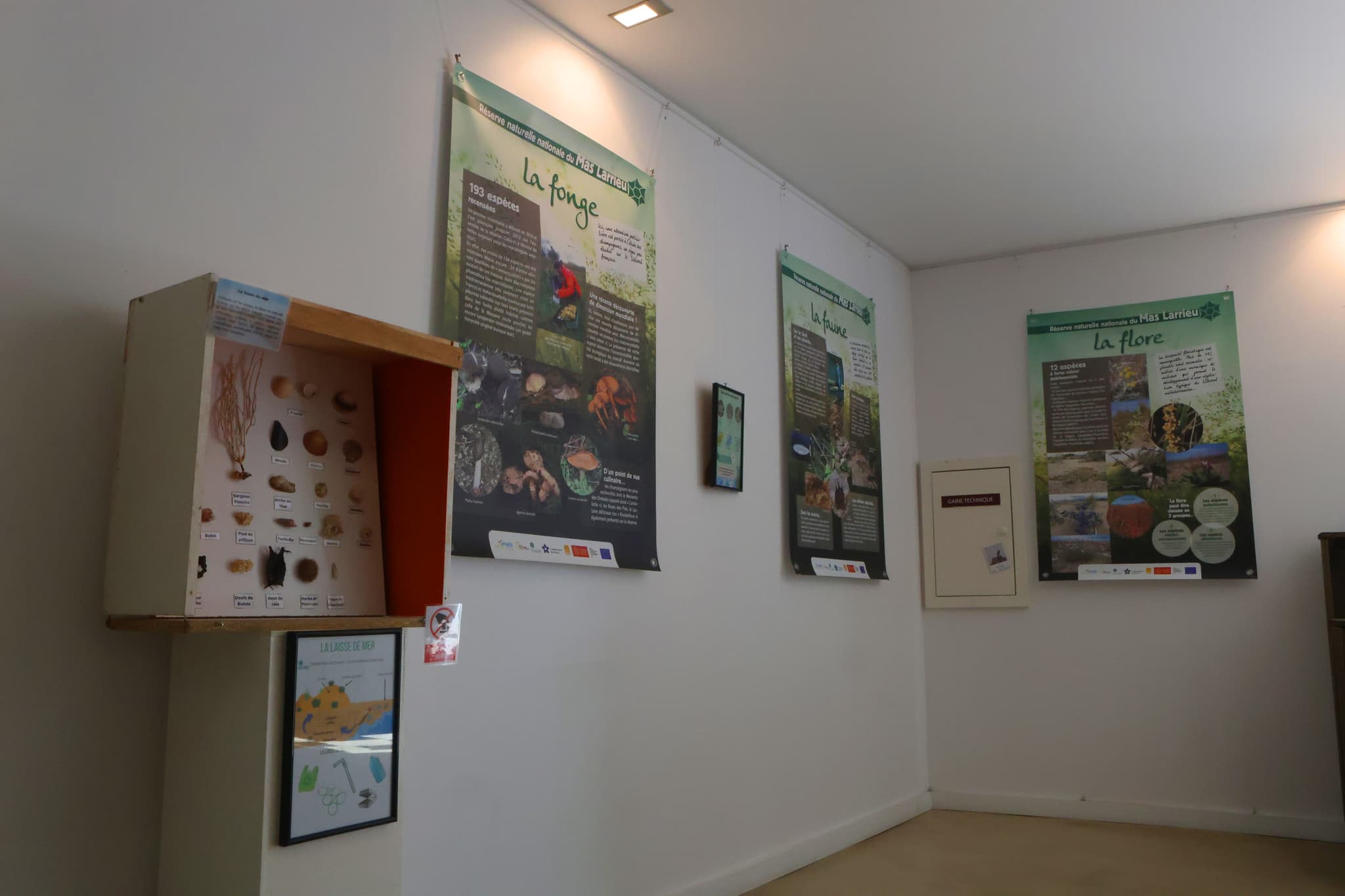 expo-mas-larrieu-argeles-sur-mer-1