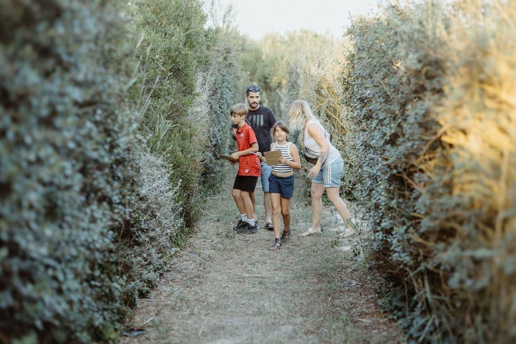 famille dans le labyrinthe d'arbustes dun jardin d'Ariane (1)