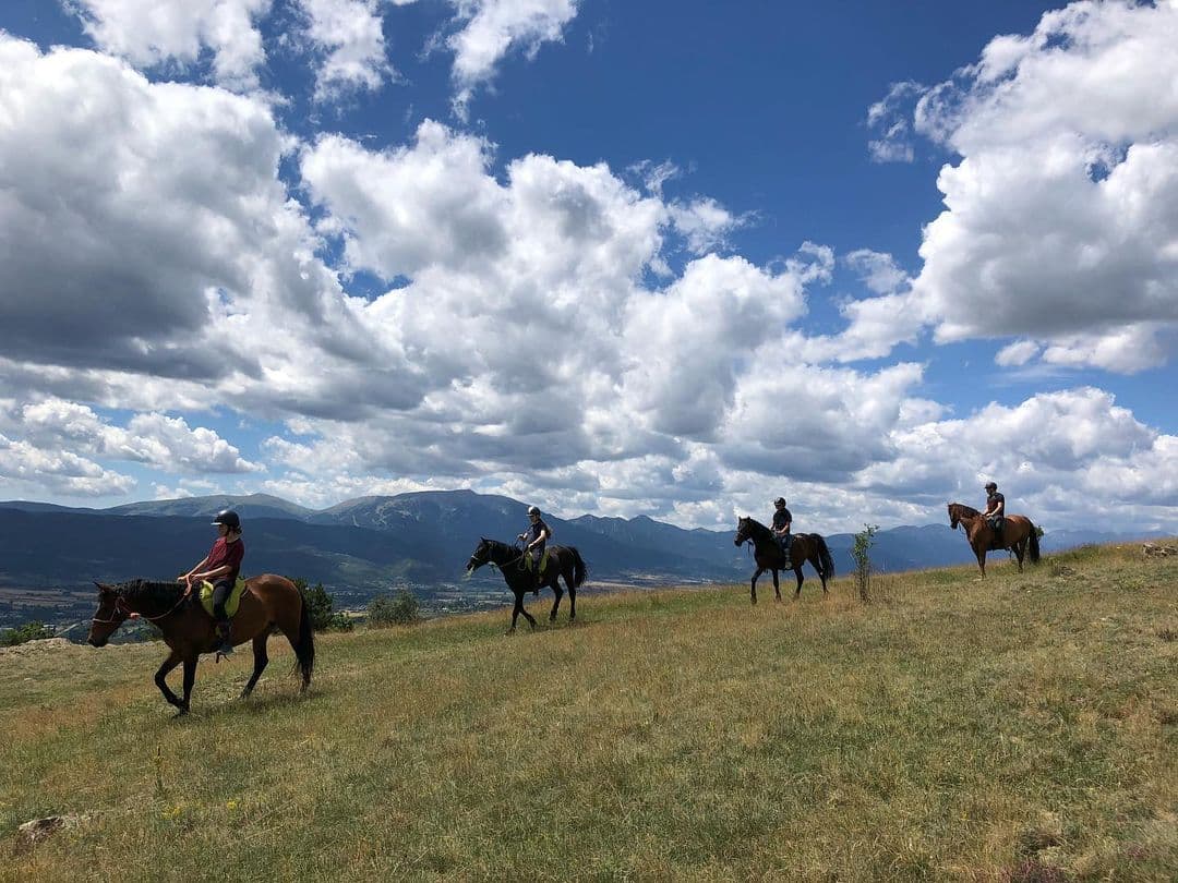 nevada mountain paddock 3